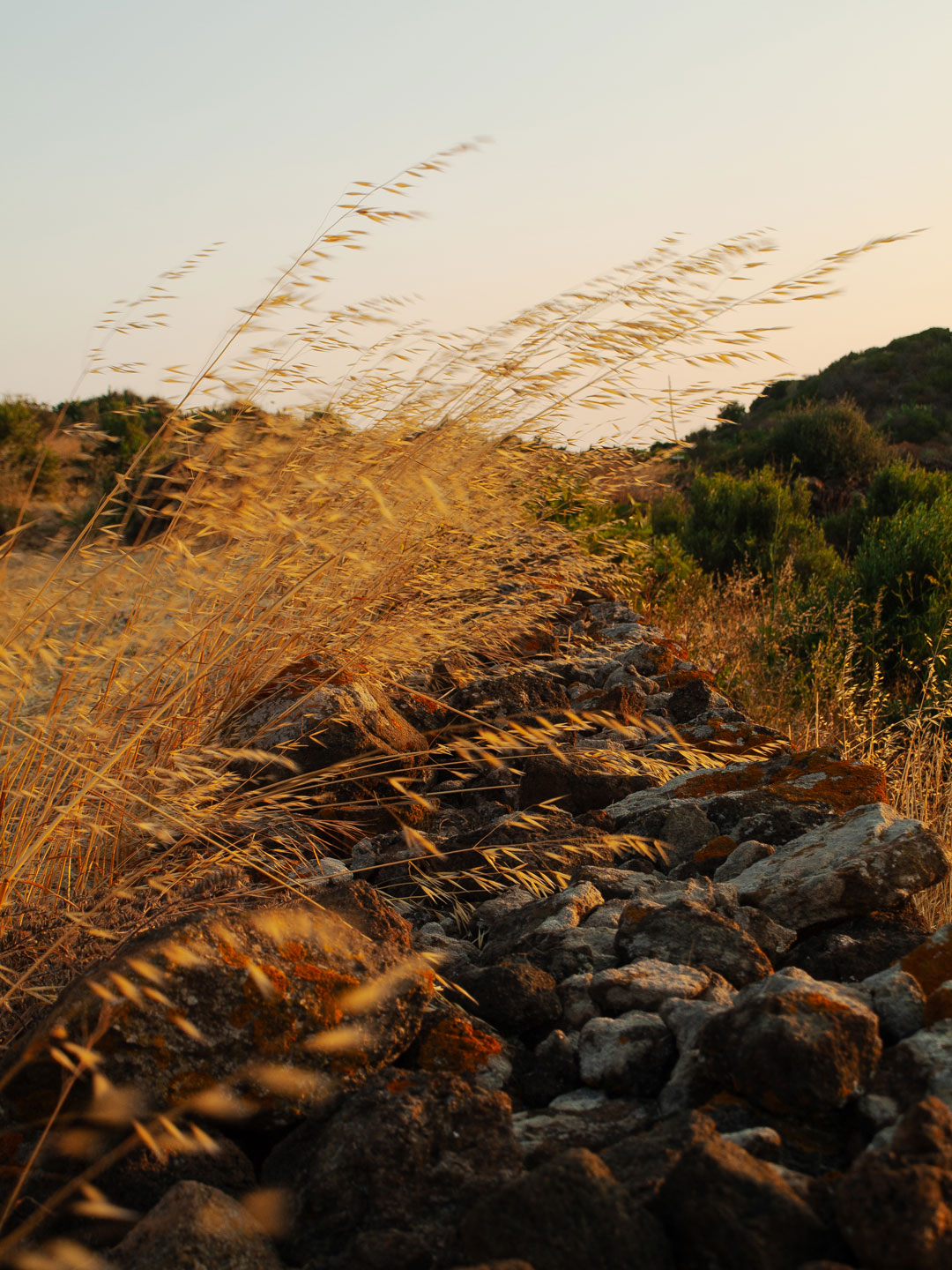 scauzi-pantelleria-paesaggio