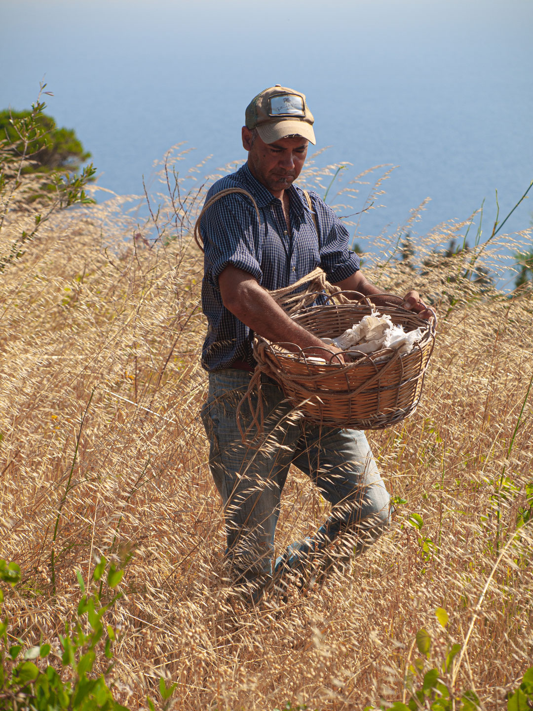 scauzi-pantelleria-semina